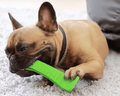 Dog Chewing Brush