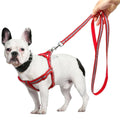 Reflective Dog Harness & Leash Set