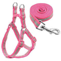 Reflective Dog Harness & Leash Set