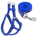 Reflective Dog Harness & Leash  Set