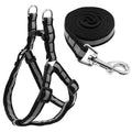 Reflective Dog Harness & Leash  Set