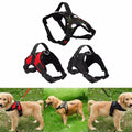 Adjustable Heavy Duty Dog Pet Harness